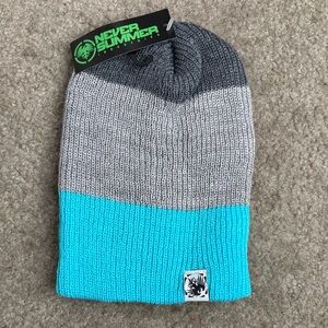 Never Summer Unisex Gray and Blue Beanie
